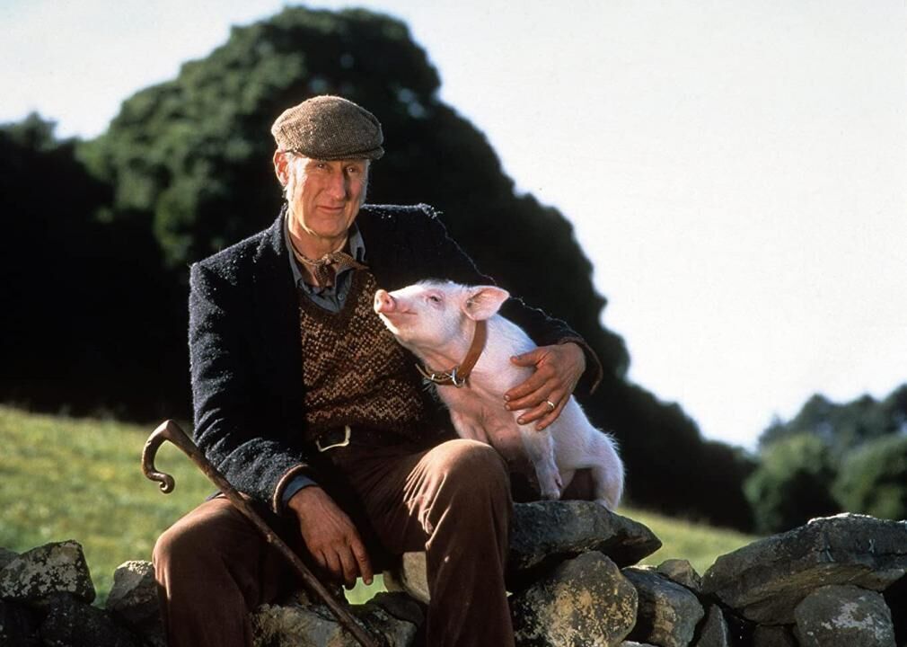 #60. Babe (1995)